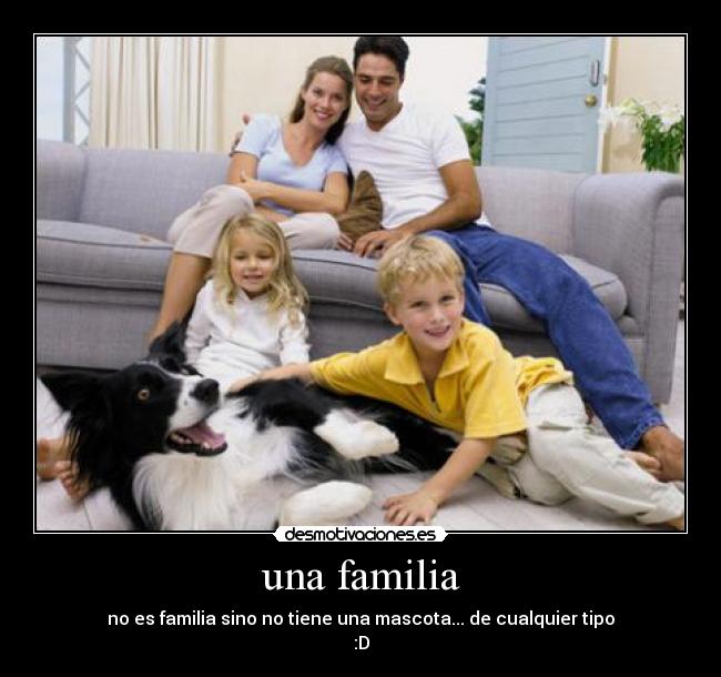 carteles familia mascotas desmotivaciones