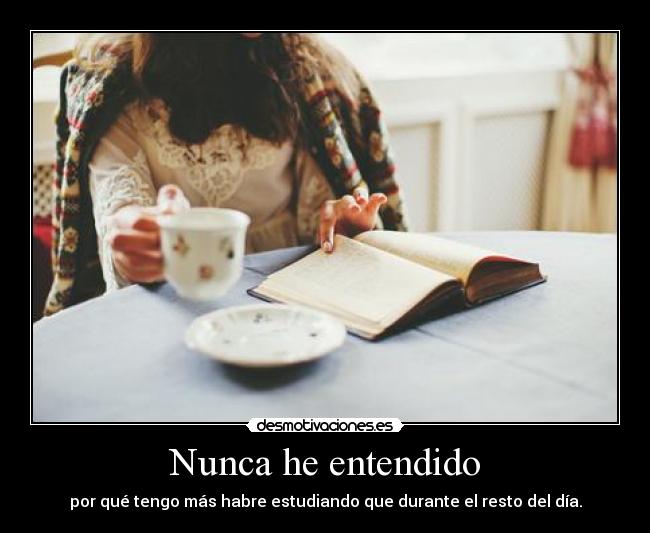 Nunca he entendido -