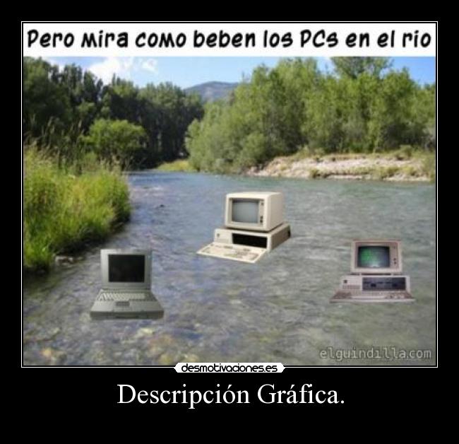 Descripción Gráfica. -