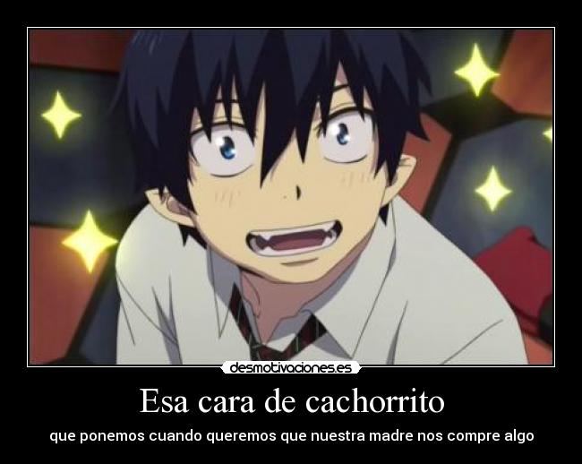 Esa cara de cachorrito -