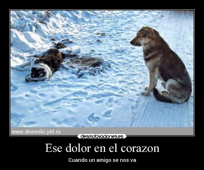 Ese dolor en el corazon - 