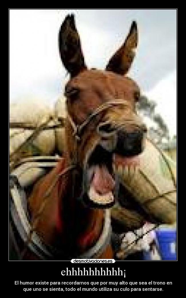 ehhhhhhhhhh¡ - El humor existe para recordarnos que por muy alto que sea el trono en
que uno se sienta, todo el mundo utiliza su culo para sentarse.