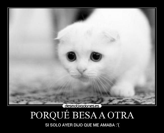 PORQUÉ BESA A OTRA -
