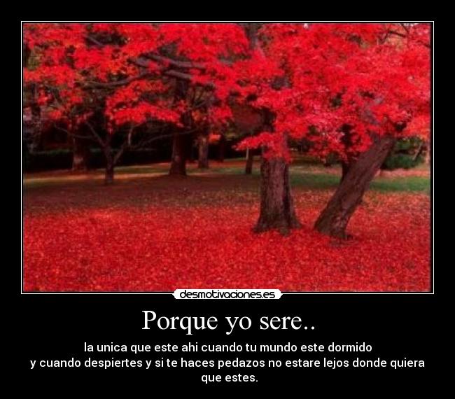 Porque yo sere.. - 