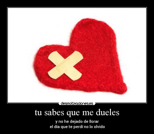 tu sabes que me dueles - y no he dejado de llorar
el día que te perdí no lo olvido