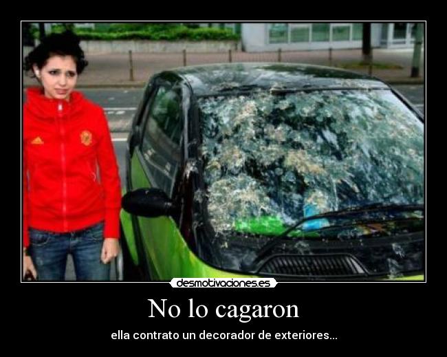 No lo cagaron - ella contrato un decorador de exteriores...