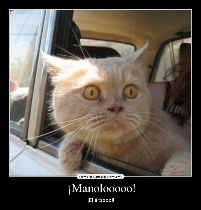 ¡Manolooooo! - 