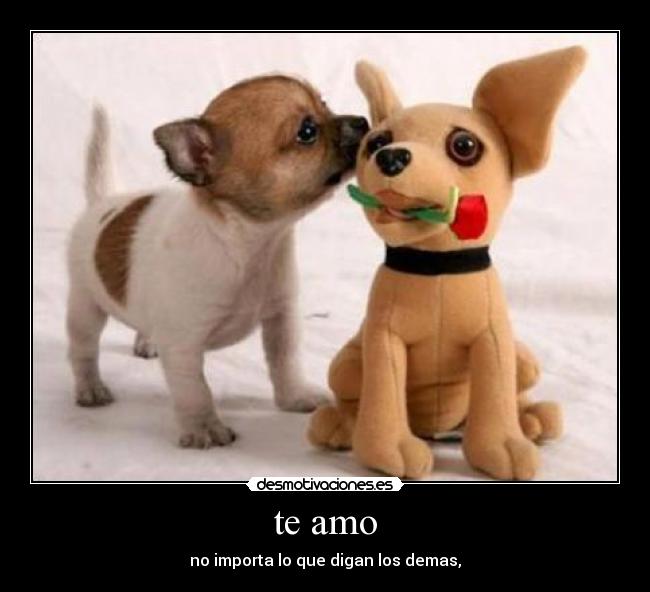 te amo -