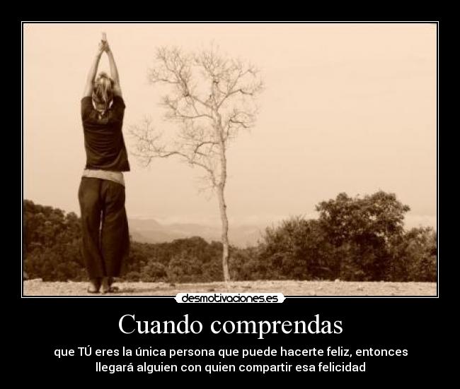 carteles cuando comprendas desmotivaciones