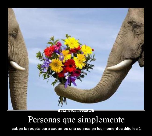 Personas que simplemente - 