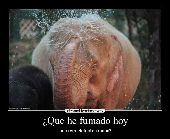 carteles fedeminemmola clannayade fedeminem eften ladrondeetiquetas desmotivaciones