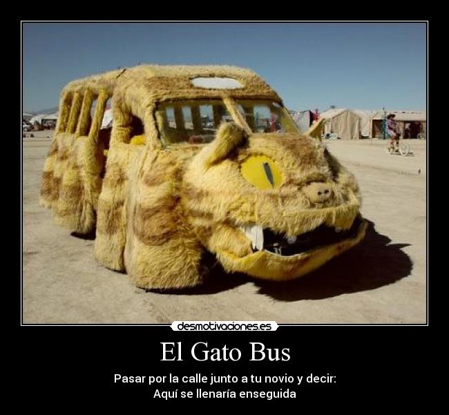 El Gato Bus - 