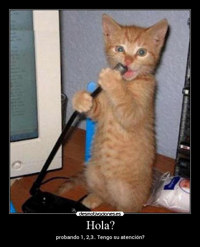 carteles catstuffs desmotivaciones