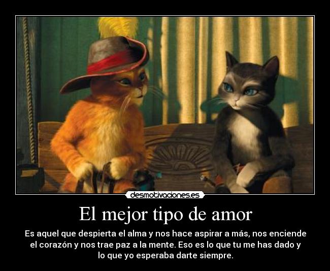 carteles amor kkvanekk desmotivaciones