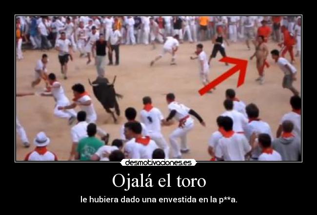 Ojalá el toro -