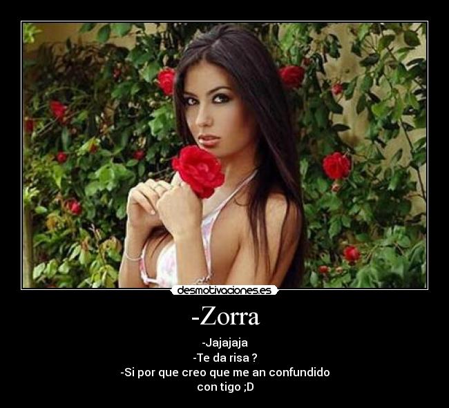 -Zorra -