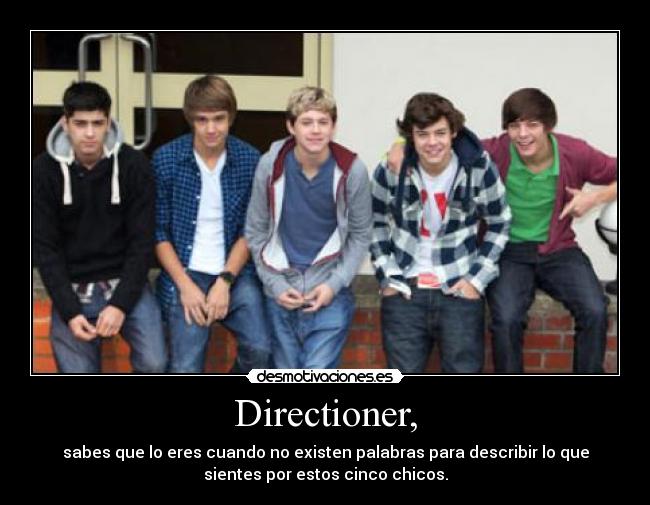 Directioner, - sabes que lo eres cuando no existen palabras para describir lo que
sientes por estos cinco chicos.