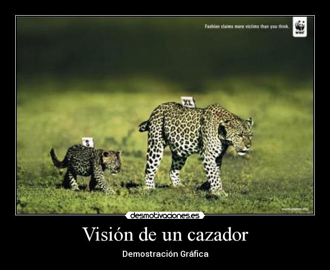 Visión de un cazador -