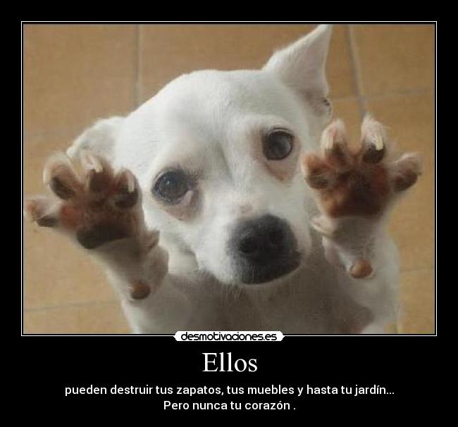 Ellos -