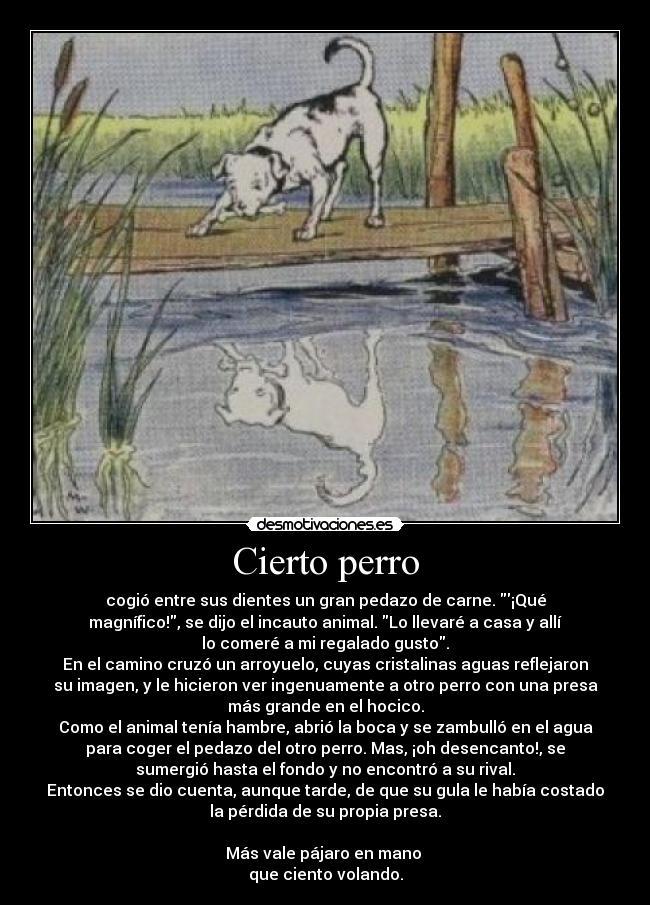 Cierto perro - 