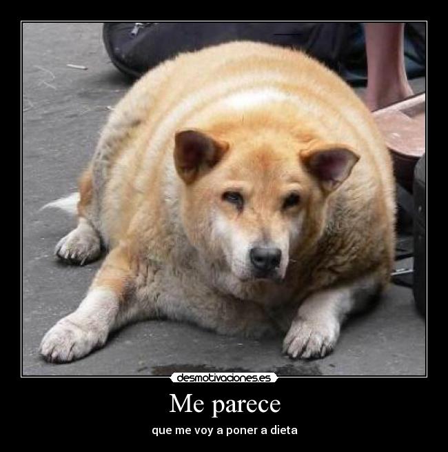 Me parece - que me voy a poner a dieta