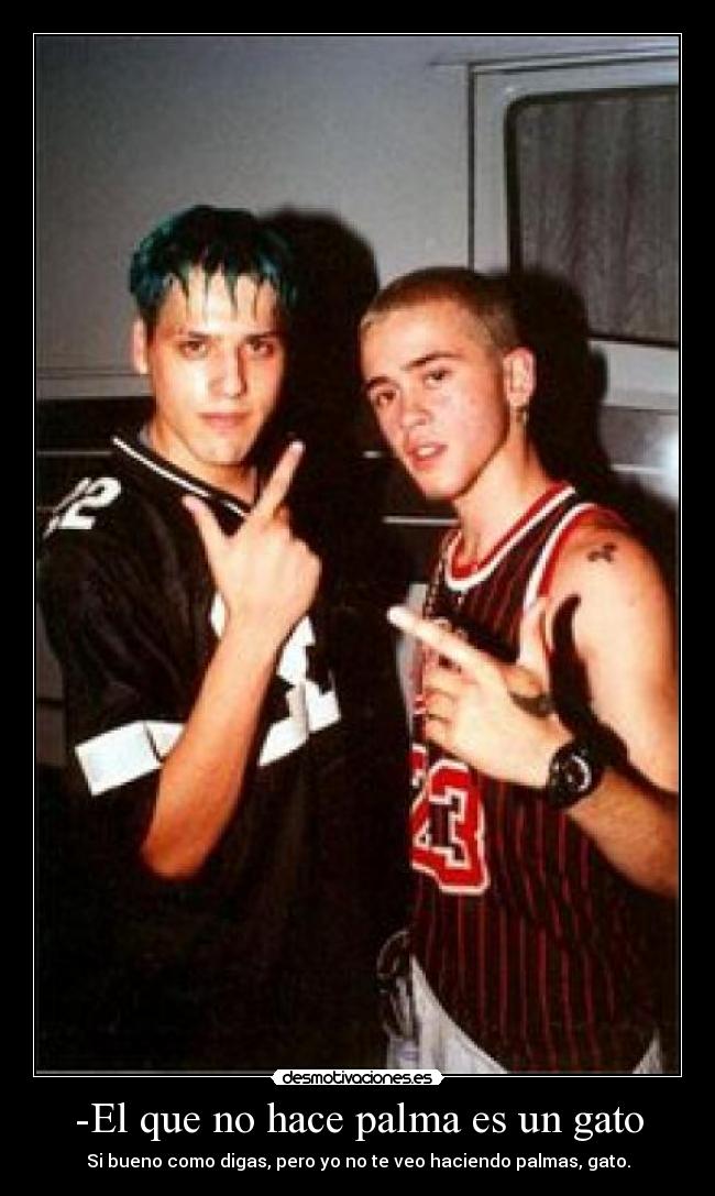 -El que no hace palma es un gato -