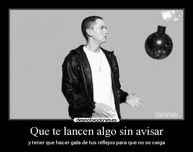 carteles eminem rules intruders fedeminemmola 23tigres putostyle desmotivaciones