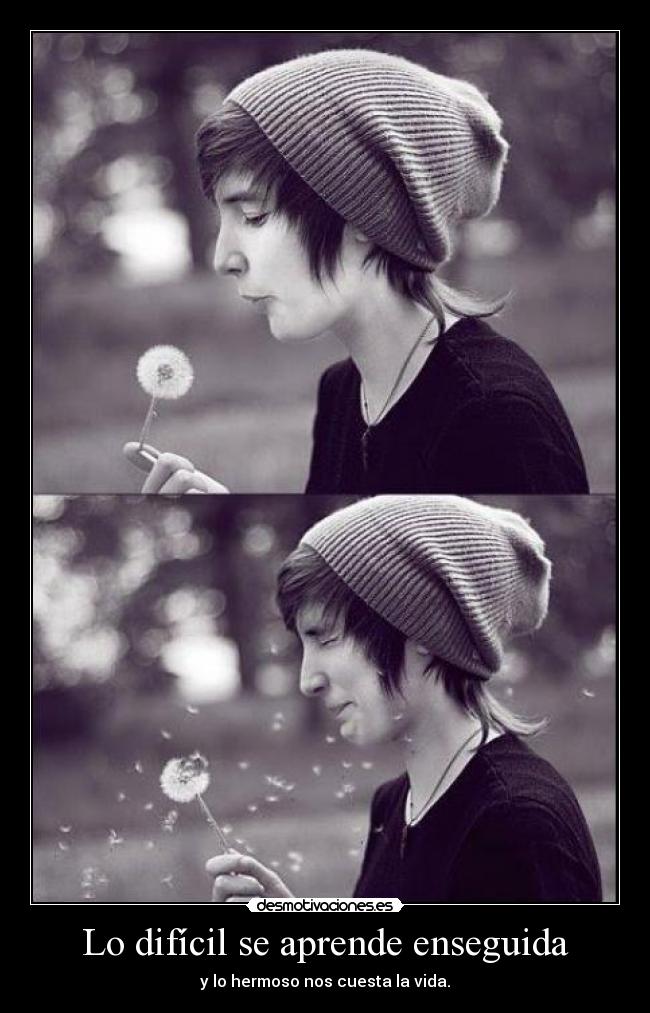 carteles soy leonsito desmotivaciones