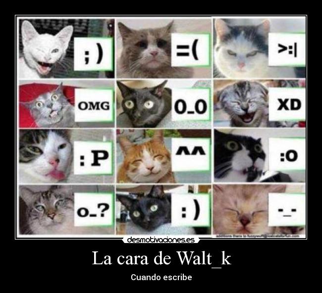 La cara de Walt_k -