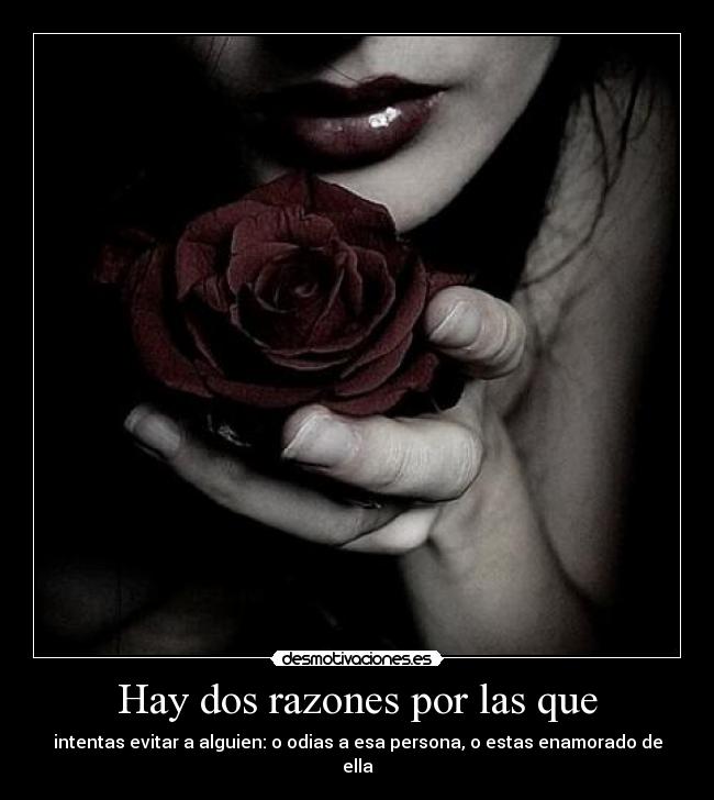 Hay dos razones por las que - intentas evitar a alguien: o odias a esa persona, o estas enamorado de ella