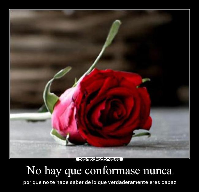 No hay que conformase nunca -