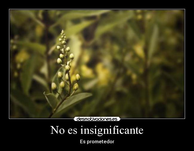 No es insignificante - Es prometedor