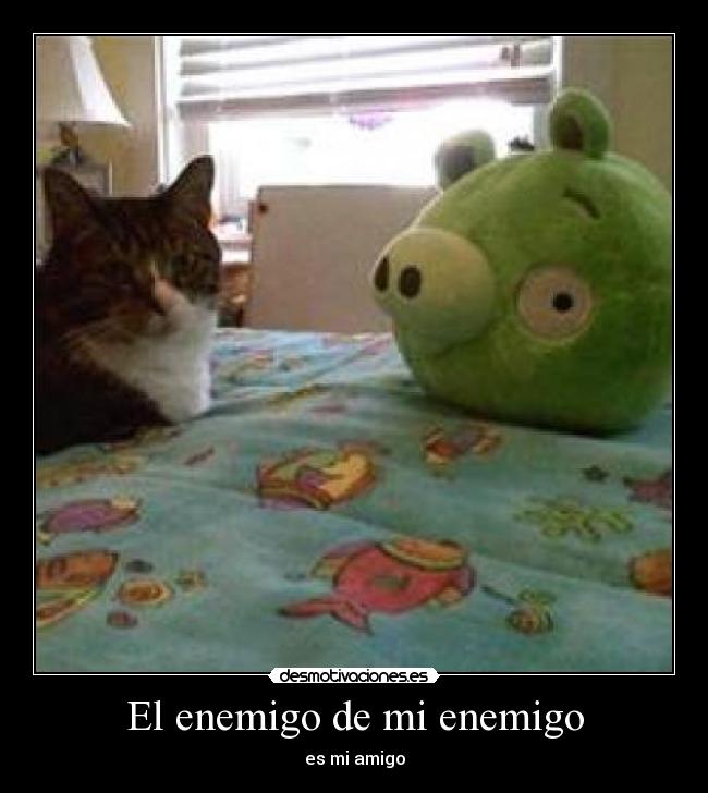 El enemigo de mi enemigo -