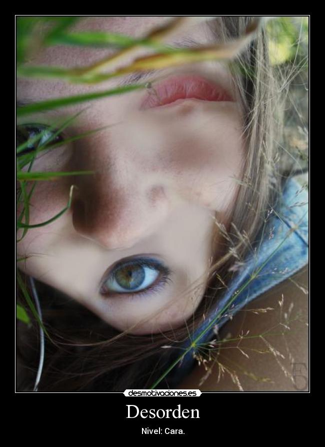 Desorden - Nivel: Cara.