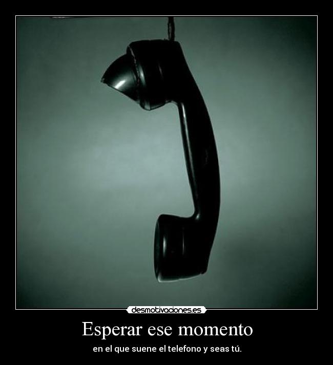 carteles elvi33 desmotivaciones