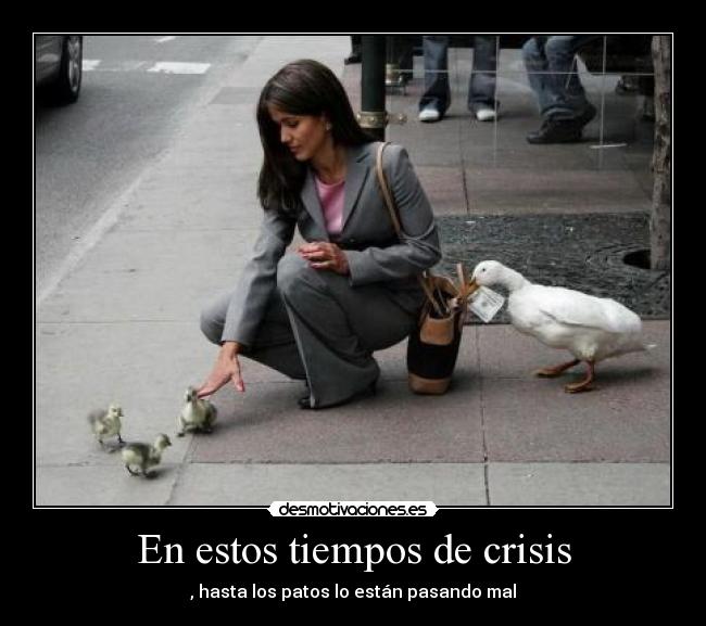 En estos tiempos de crisis - , hasta los patos lo están pasando mal