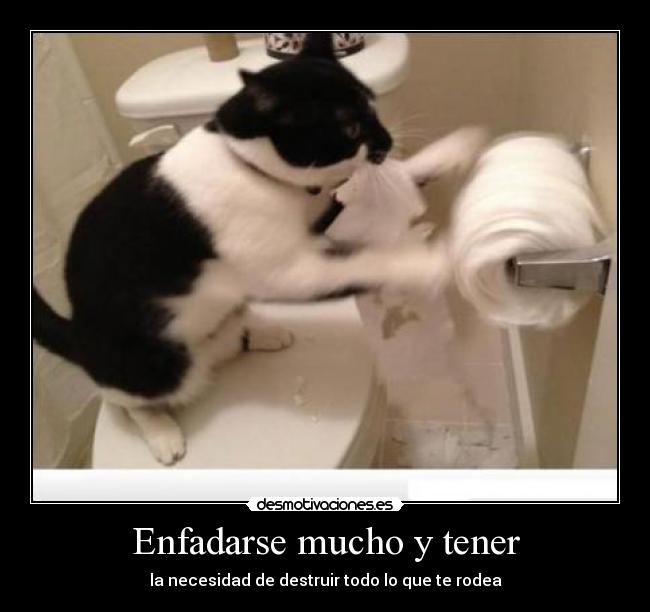 Enfadarse mucho y tener - 