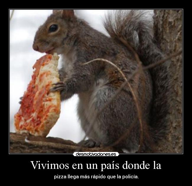 Vivimos en un país donde la - 