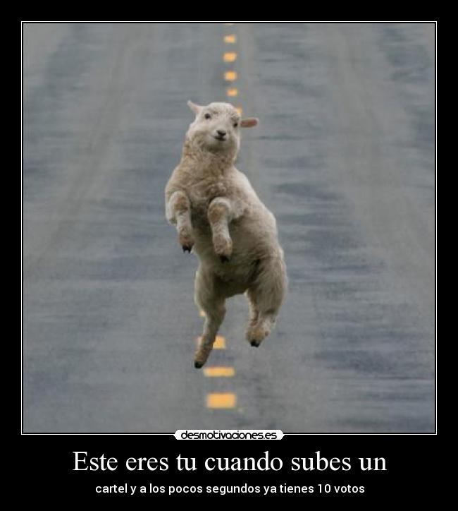 carteles desmotivaciones