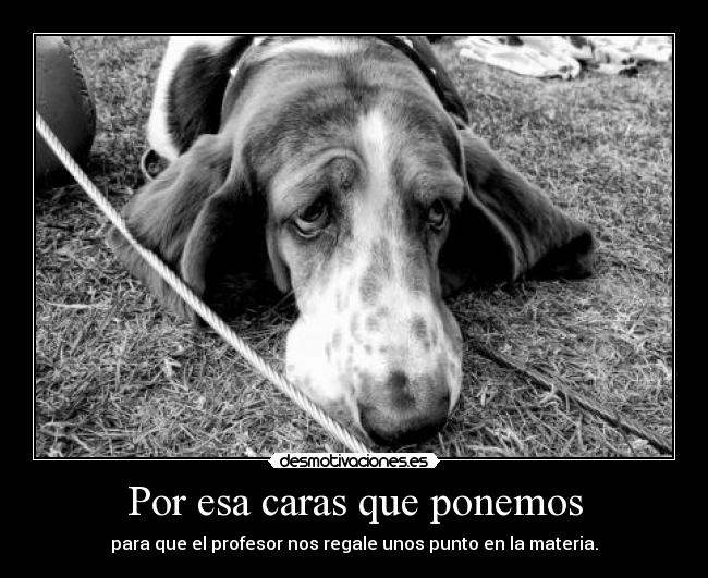 Por esa caras que ponemos - para que el profesor nos regale unos punto en la materia.