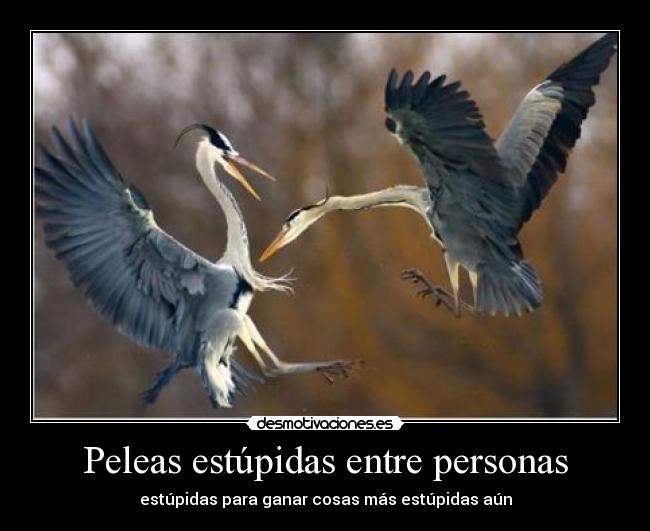 carteles xdddddddddddddddddddddddd esos pajaros ponen desmotivaciones