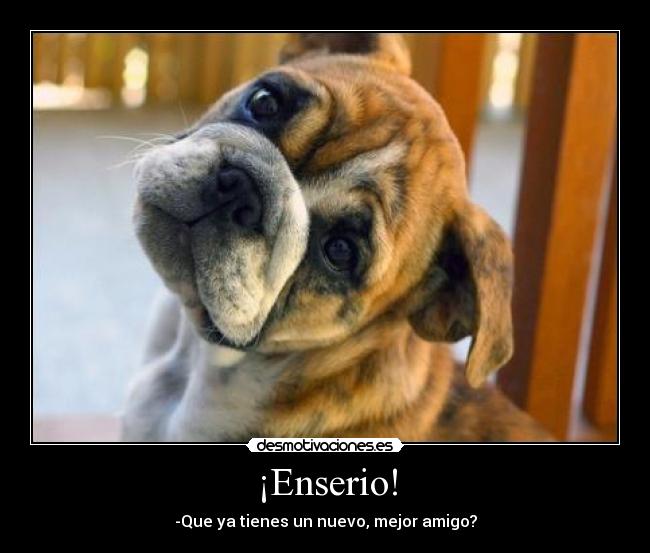 ¡Enserio! - -Que ya tienes un nuevo, mejor amigo?