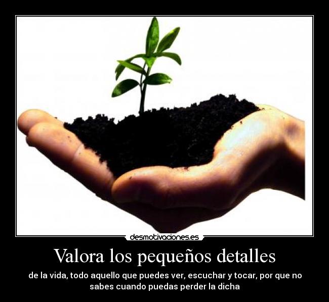 Valora los pequeños detalles - de la vida, todo aquello que puedes ver, escuchar y tocar, por que no
sabes cuando puedas perder la dicha