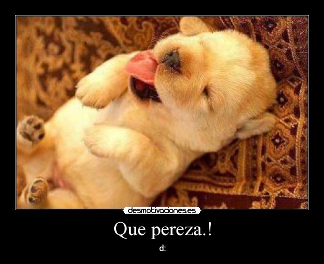 Que pereza.! - 