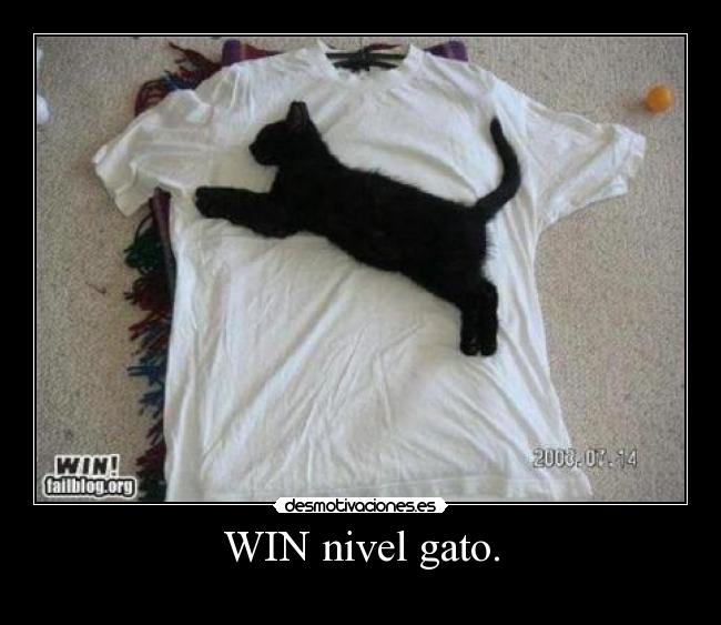 WIN nivel gato. -