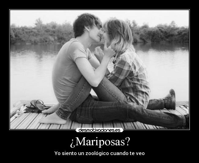 ¿Mariposas? - 