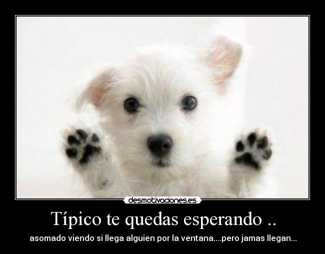 Típico te quedas esperando .. -