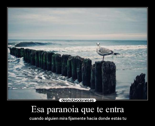 Esa paranoia que te entra - cuando alguien mira fijamente hacia donde estás tu