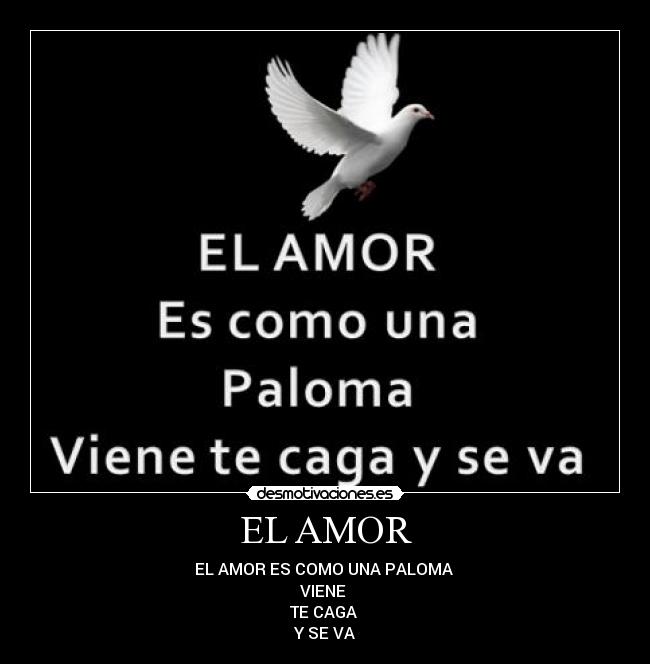 EL AMOR - 