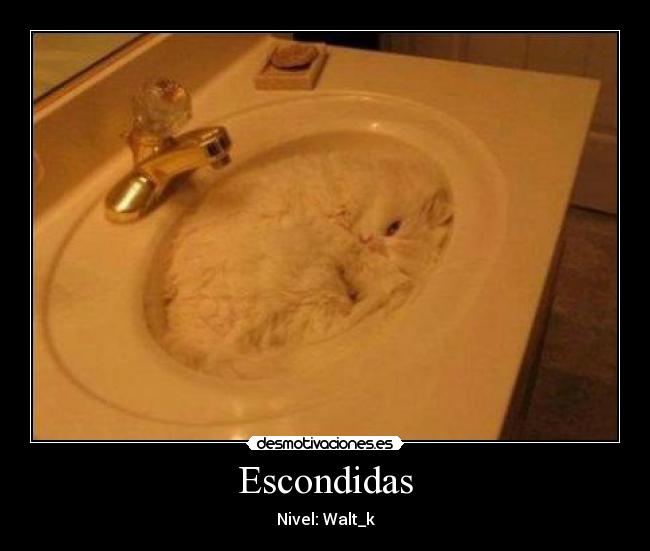 Escondidas - Nivel: Walt_k